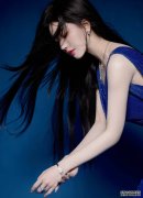 《继姆2》中文